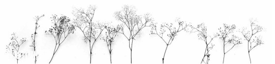 1551858589133078867.jpg 圖片10.jpg